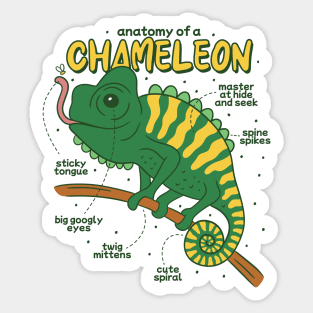 Anatomy of A Chameleon Sticker